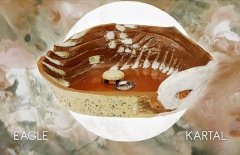 El Yapımı Seramik Lavabo - Kartal Formunda 1